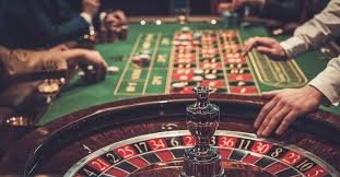 Cricket tournament guide interface with live match statistics and betting options